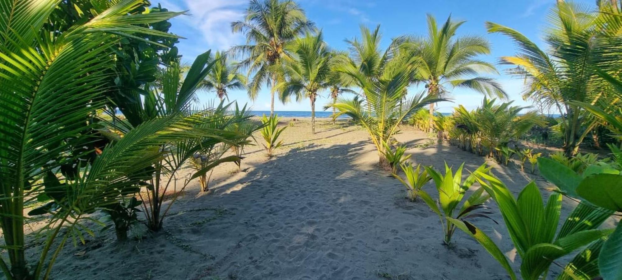Hotel Playa Westfalia Puerto Limon Exterior foto